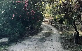 Moradia Na Serra