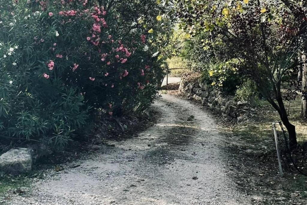 Moradia Na Serra Alcanede Exterior foto